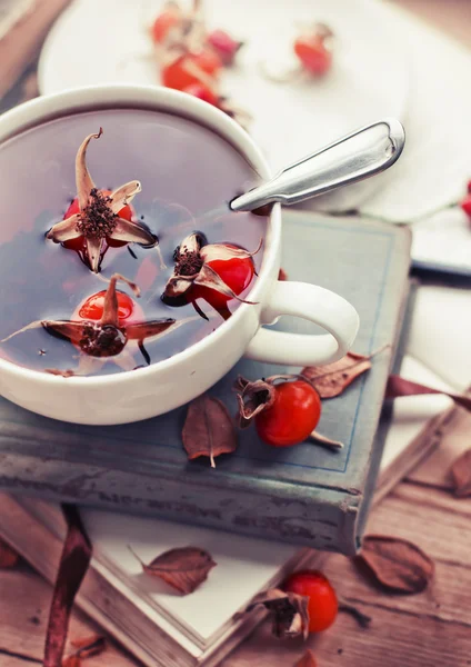 Tè alla rosa canina su vecchi libri — Foto Stock