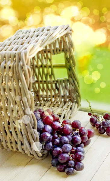 Grapes in basket — Stock Photo, Image