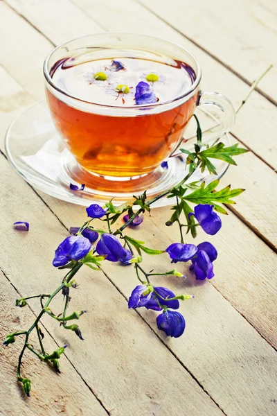 Té de hierbas con flores — Foto de Stock