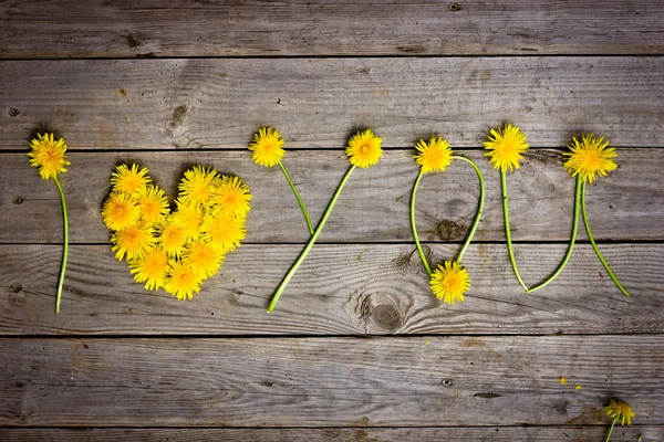 Žluté pampelišky tvoří slovo, "i love you" — Stock fotografie