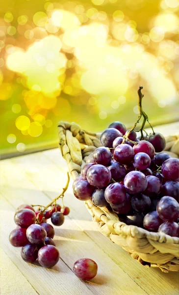 Fresh grapes on plate — Stock Photo, Image