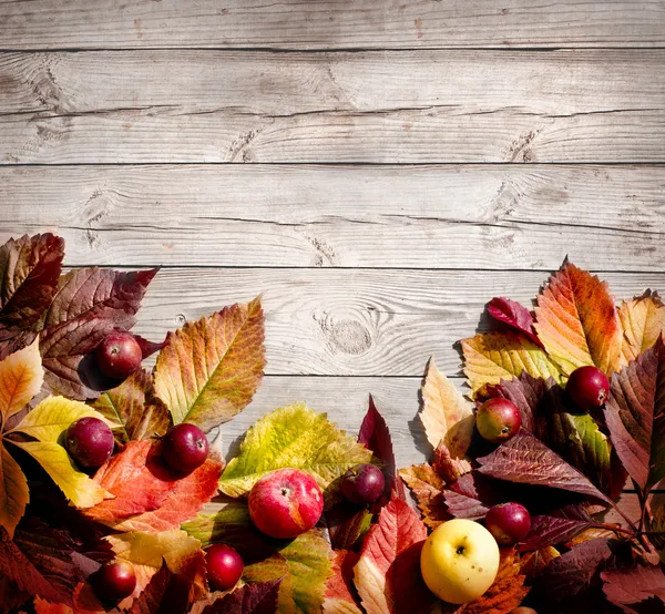 Sonbahar yaprakları ve elma doku — Stok fotoğraf