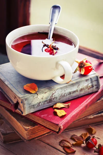 Rosehip tea on old books — Stock Photo, Image