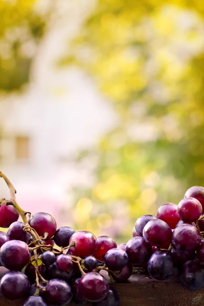 Uvas dulces — Foto de Stock