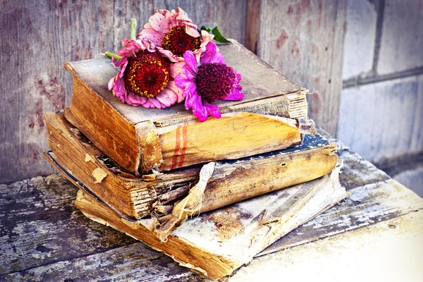 Gerberas en libros antiguos — Foto de Stock