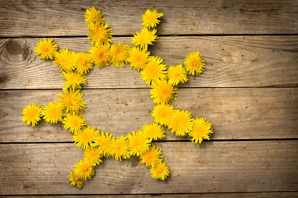 Sarı dandelions güneş şekillendirme — Stok fotoğraf