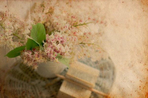 Chestnut branches, book and pencil — Stock Photo, Image