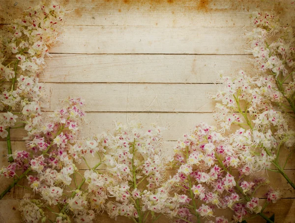 Textura de ramos de castanha — Fotografia de Stock