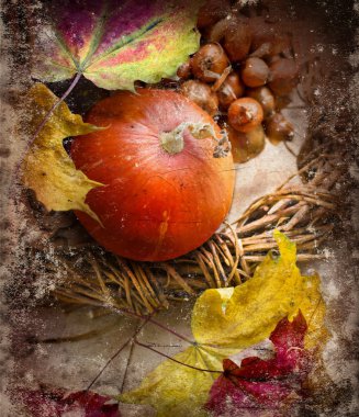 balkabağı ve sonbahar yaprakları