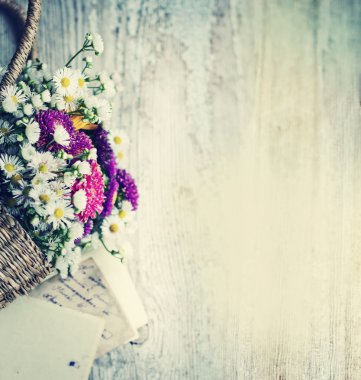 Chamomiles sepet ve vintage fotoğrafları