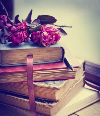 eski kitaplar üzerinde kuru güller