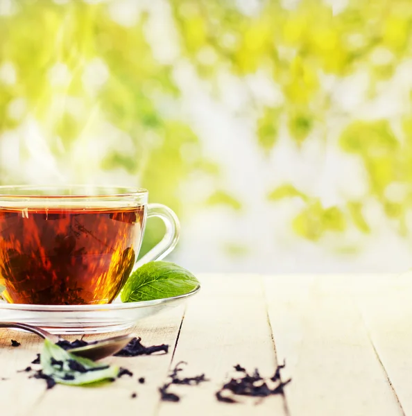 Чай з листя м'яти — стокове фото