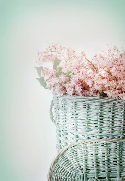 Cesta con flores de castaño — Foto de Stock