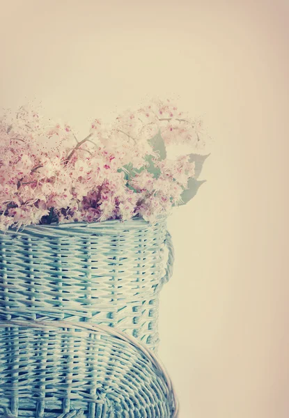 Chestnut in basket — Stock Photo, Image