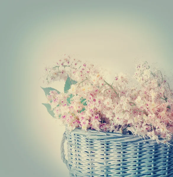 Flores de castanha em cesta — Fotografia de Stock