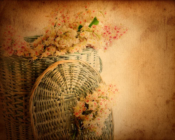 Chestnut flowers in basket — Stock Photo, Image