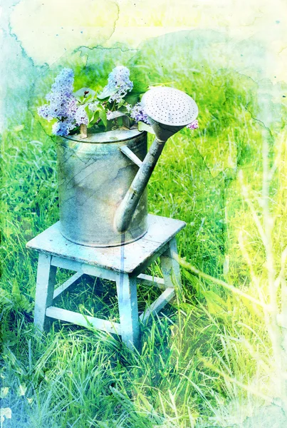 Lilacs in metal watering can — Stockfoto