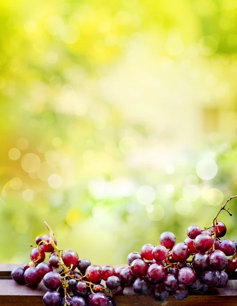 Uvas dulces — Foto de Stock