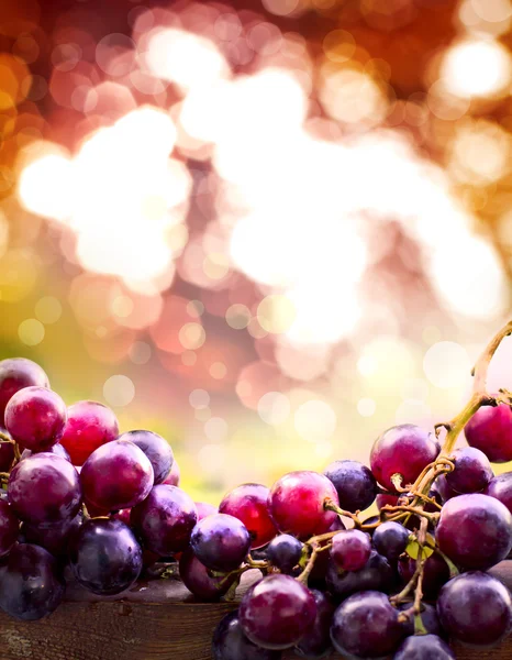 Uvas dulces —  Fotos de Stock