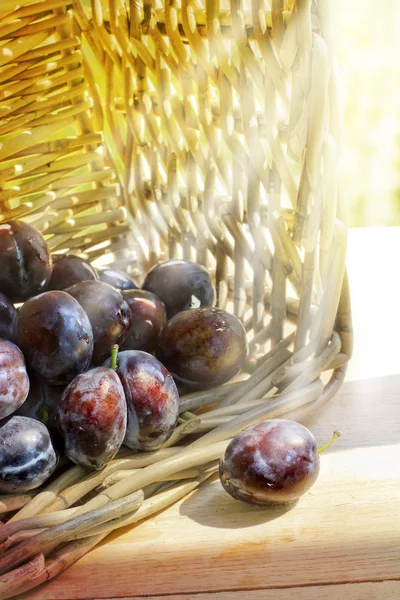 Plums in basket — Stock Photo, Image