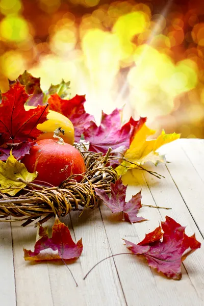 Осеннее украшение Дня Благодарения — стоковое фото