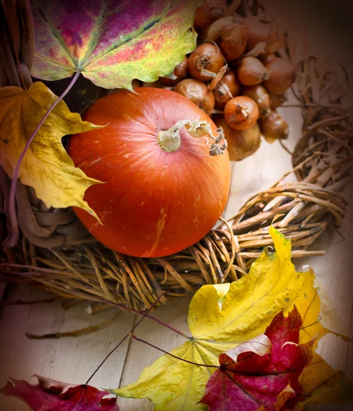 Pompoen en herfstbladeren — Stockfoto