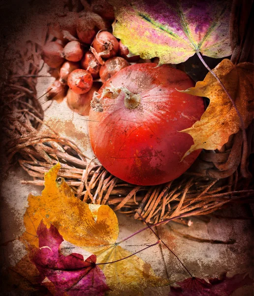 Balkabağı ve sonbahar yaprakları — Stok fotoğraf