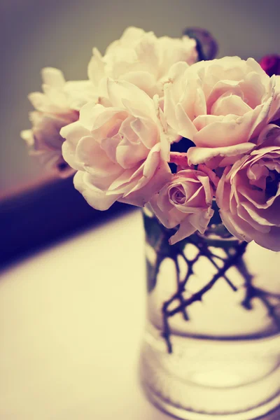 花瓶中的玫瑰 — 图库照片