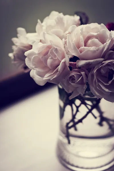 Рожеві троянди у вазі — стокове фото