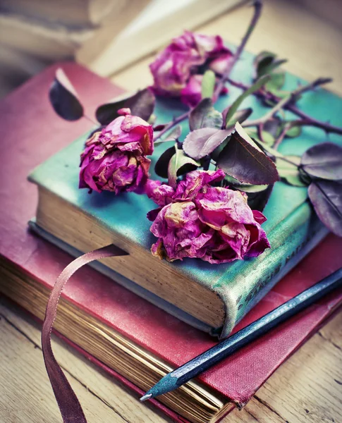Roses and books — Stock Photo, Image