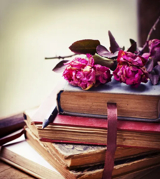 Vintage books and roses — Stock Photo, Image
