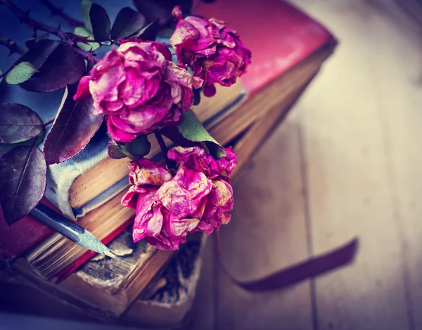 Torr rosor på gamla böcker — Stockfoto