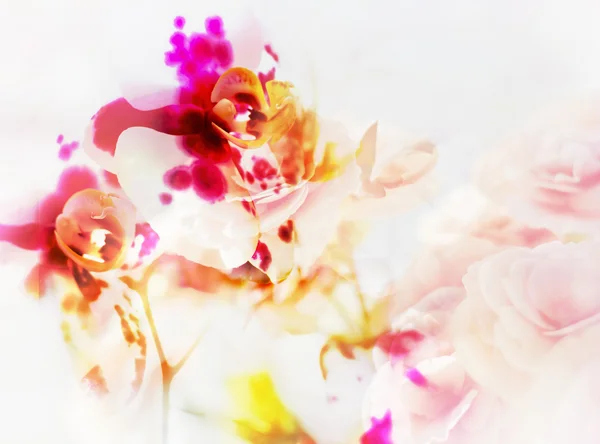 Jahrgangs-Orchideen — Stockfoto