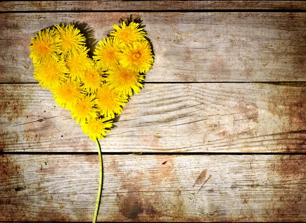 Paardebloemen hart — Stockfoto