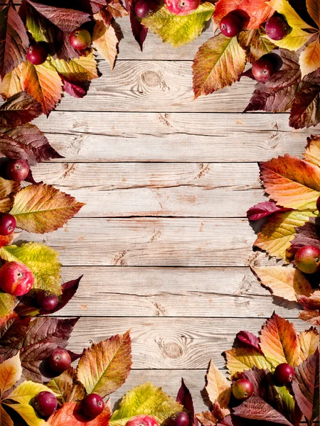 Apples and fallen leaves on wooden table — Stock Photo, Image