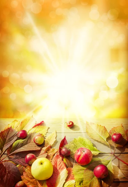 秋天的落叶和 appeles 背景 — 图库照片