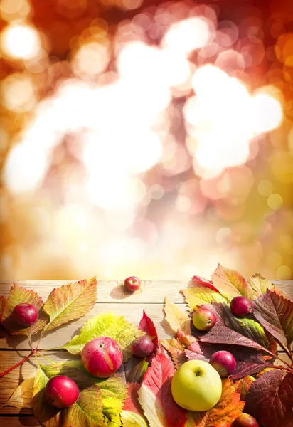 Hojas y apelaciones caídas de otoño — Foto de Stock