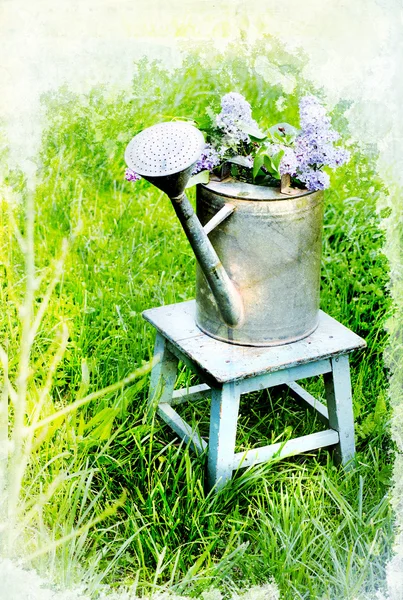 Lilacs in metal watering can Stock Image
