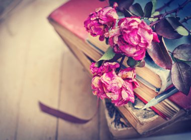 Gül, kalem ve kitap