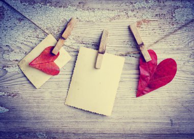 Fotoğraf ve yaprak kalp