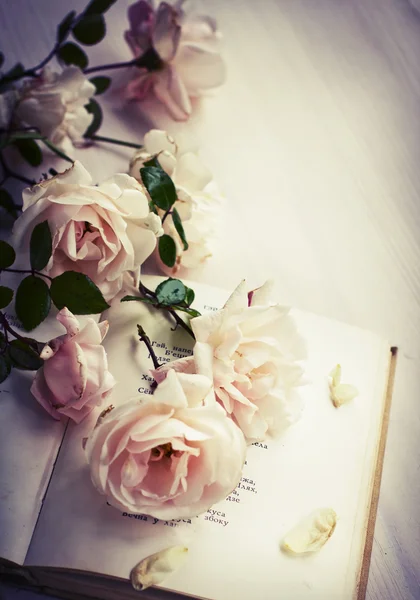 Roses et livre — Photo