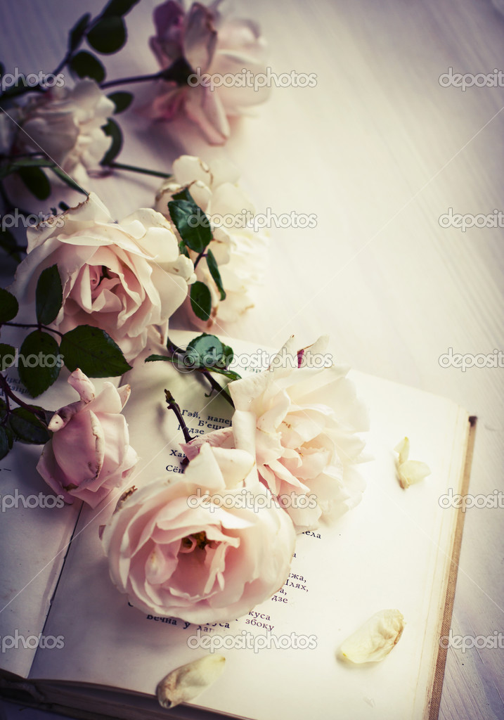 Roses and book
