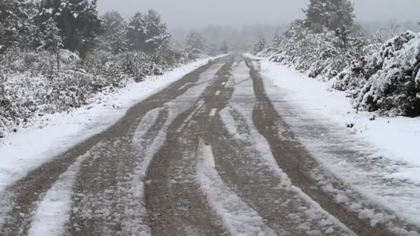 Estrada e neve — Vídeo de Stock