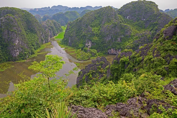 Nono binh — Fotografia de Stock