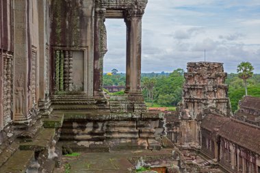 Angkor wat görünümü