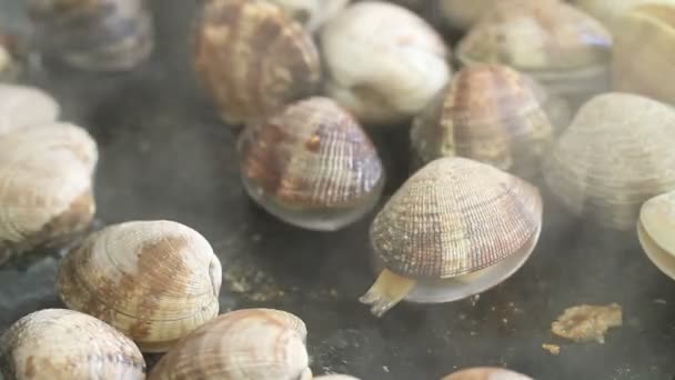 Grillade musslor på en stekpanna — Stockvideo