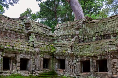 Ta Prohm, Angkor Wat