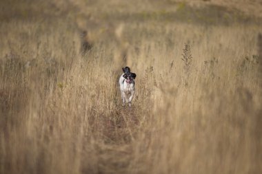 İşaretçi çalışan önden görünümü