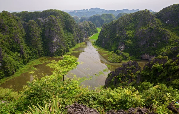 Nono binh — Fotografia de Stock