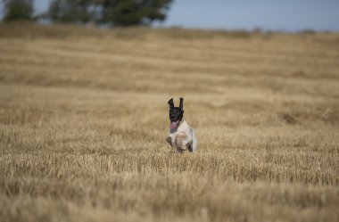 İşaretçi çalışan önden görünümü